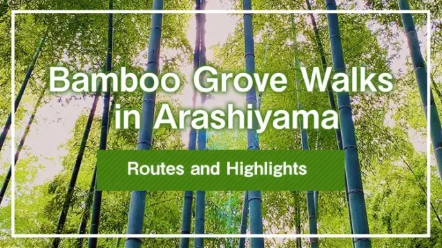 Bamboo Grove Walks in Arashiyama | Routes and Highlights