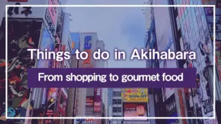 Things to do in Akihabara: From shopping to gourmet food