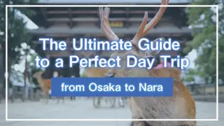 The Ultimate Guide to a Perfect Day Trip from Osaka to Nara