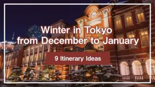 Winter in Tokyo from December to January: 9 Itinerary Ideas