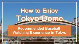 Recommended Baseball Watching Experience in Tokyo: How to Enjoy Tokyo Dome