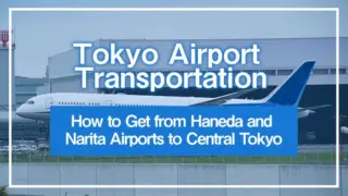 Tokyo Airport Transportation｜How to Get from Haneda and Narita Airports to Central Tokyo