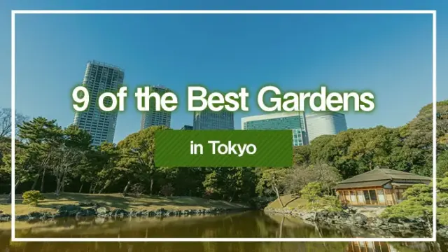 9 of the Best Gardens in Tokyo