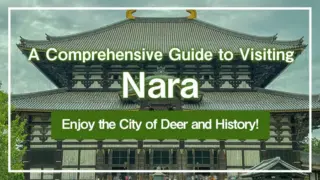 A Comprehensive Guide to Visiting Nara: Enjoy the City of Deer and History!