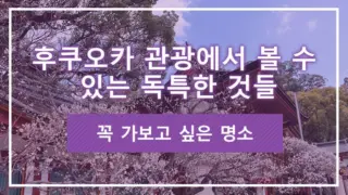 후쿠오카 관광에서 볼 수 있는 독특한 것들: 꼭 가보고 싶은 명소