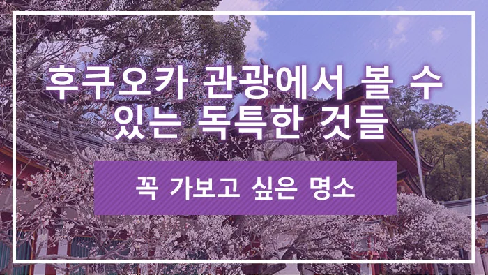 후쿠오카 관광에서 볼 수 있는 독특한 것들: 꼭 가보고 싶은 명소