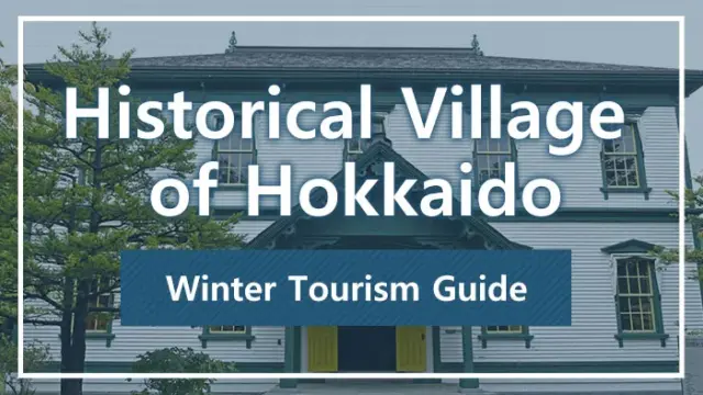 Historical Village of Hokkaido is an open-air museum that recreates daily life from the Meiji to early Showa periods. In winter, you can enjoy bamboo skiing and horse sleigh experiences, allowing you to simultaneously experience history and snow country culture.