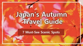 Japan's Autumn Travel Guide | 7 Must-See Scenic Spots