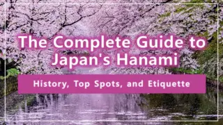 The Complete Guide to Japan's Hanami: History, Top Spots, and Etiquette