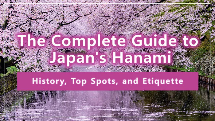 The Complete Guide to Japan's Hanami: History, Top Spots, and Etiquette