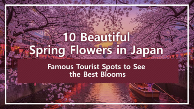 10 Beautiful Spring Flowers in Japan | Famous Tourist Spots to See the Best Blooms