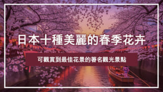 日本十種美麗的春季花卉｜可觀賞到最佳花景的著名觀光景點