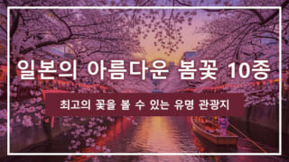 일본의 아름다운 봄꽃 10종 | 최고의 꽃을 볼 수 있는 유명 관광지