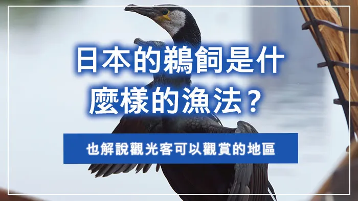 日本的鵜飼是什麼樣的漁法？也解說觀光客可以觀賞的地區
