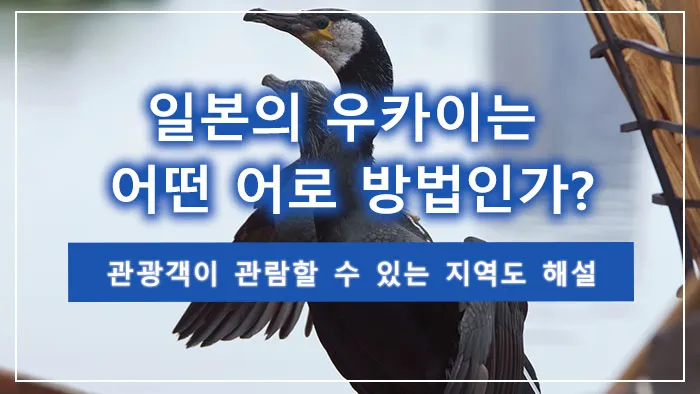 일본의 우카이는 어떤 어로 방법인가? 관광객이 관람할 수 있는 지역도 해설