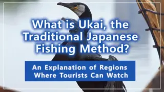 What is Ukai, the Traditional Japanese Fishing Method? An Explanation of Regions Where Tourists Can Watch