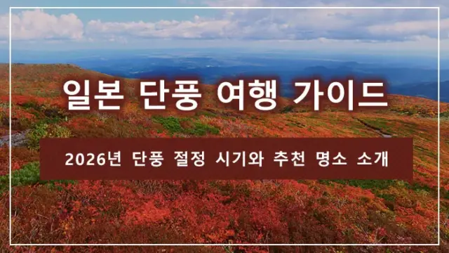 일본 단풍 여행 가이드｜2026년 단풍 절정 시기와 추천 명소 소개