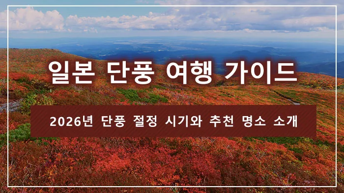 일본 단풍 여행 가이드｜2026년 단풍 절정 시기와 추천 명소 소개