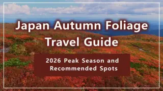 Japan Autumn Foliage Travel Guide | 2026 Peak Season and Recommended Spots