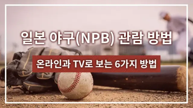 일본 야구(NPB) 관람 방법: 온라인과 TV로 보는 6가지 방법