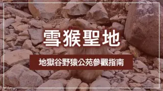 雪猴聖地──地獄谷野猿公苑參觀指南