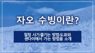 자오 수빙이란? 절정 시기·즐기는 방법·도쿄와 센다이에서 가는 방법을 소개