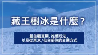 藏王樹冰是什麼？最佳觀賞期、推薦玩法，以及從東京／仙台前往的交通方式
