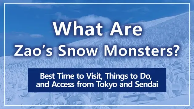 What Are Zao’s Snow Monsters? Best Time to Visit, Things to Do, and Access from Tokyo and Sendai
